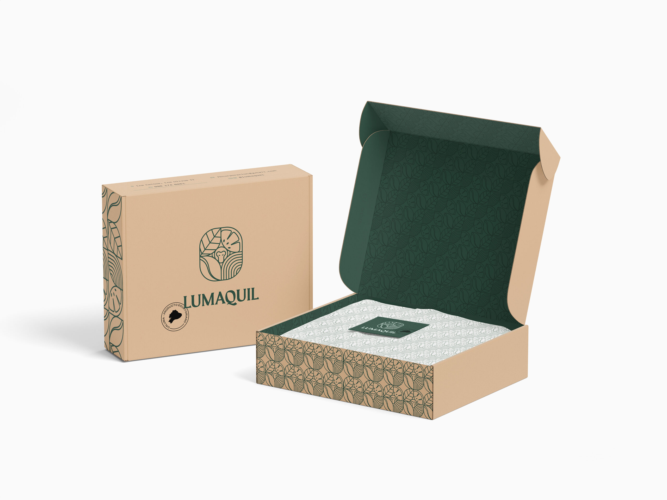 Packaging - Diseño de empaque